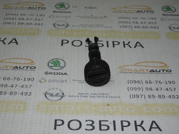 Болт радіатора