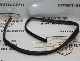 Ущільнювач передньої лівої дверки верхній 3D 13254857