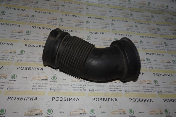 わんこ PENDLETON】LOWGAGE COWICHAN SWEATER｜CONVERSE TOKYO