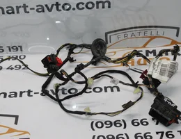 Проводка передньої правої дверки 3D 13144649