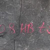 Захист двигуна 9804865380