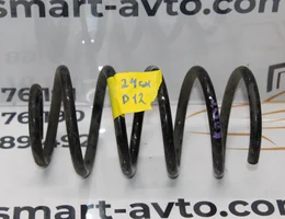 Пружина задня AG 24см D12 13248370