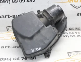 Корпус повітряного фільтра 42496318