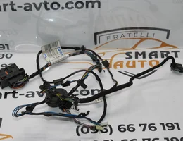 Проводка передньої лівої дверки 3D 13221951