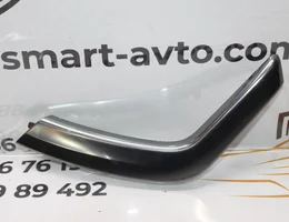 Накладка ручки передньої дверки внутрішня права (хромована) 9673871477