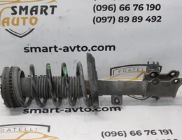 Амортизатор передній правий в зборі 9800033780