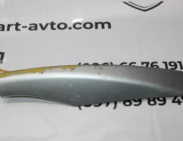 Заглушка рейлінга передня права 7661A034
