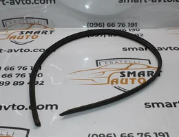 Ущільнювач передньої лівої дверки нижній 13344026