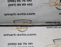 Ущільнювач передньої лівої дверки (нижній) 9673169580