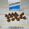 Сальник клапана комплект (16 шт) 1.6 16V, 1.6 Turbo, 1.6 CNG Turbo, 1.8 16V 12-36613-01
