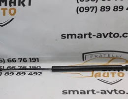 Амортизатор кришки багажника 9689004580